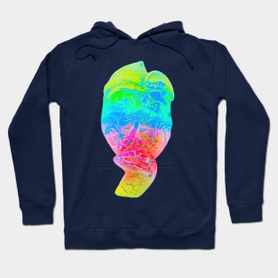 A bright multicolored Bali face mask cut out Hoodie